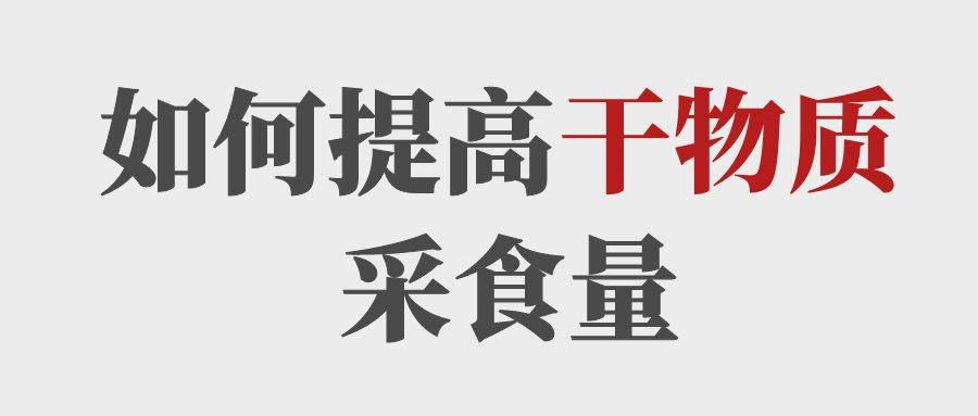 做到這5點提高育肥牛的干物質(zhì)采食量！